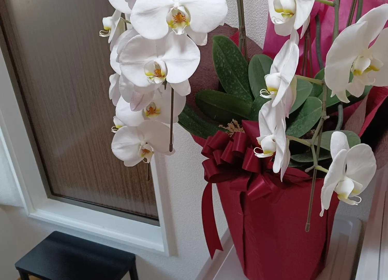 Tokyo Downtown牡丹莊 Villa Holiday home